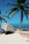 about cayman