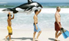 CAYMAN ISLANDS&rsquo; EVENTS 