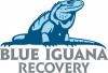 Blue Iguana Recovery Programme