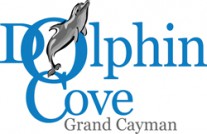 Dolphin Cove Ltd. Logo