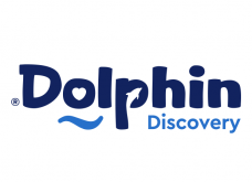 Dolphin Discovery Logo