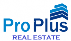 Pro Plus Real Estate Logo