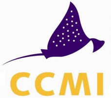 Central Caribbean Marine Institute ( CCMI ) Logo