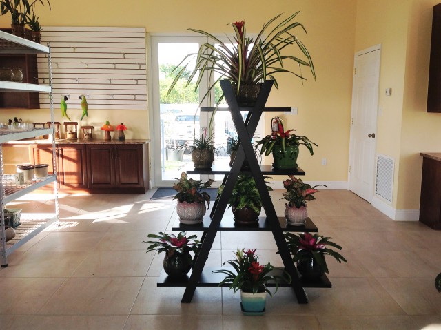 Pro Plus Gardening Services Pro Plus Gardening Services Cayman Islands