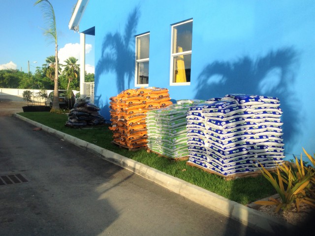 Pro Plus Gardening Services Pro Plus Gardening Services Cayman Islands