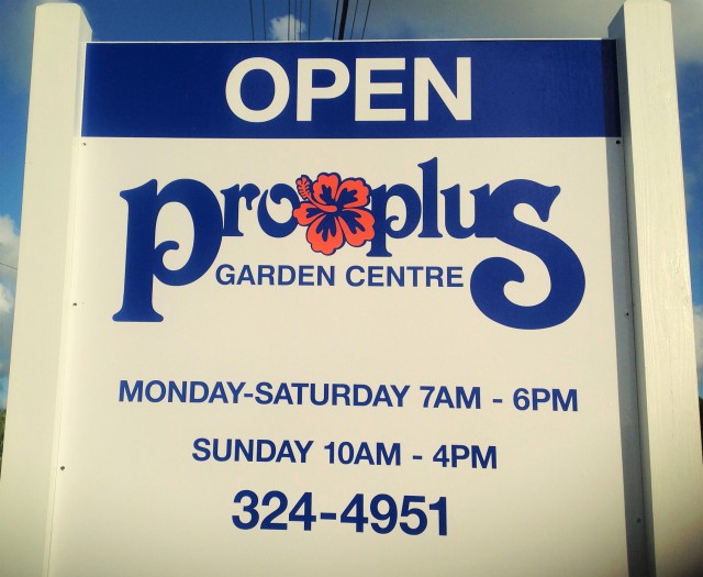 Pro Plus Gardening Services Pro Plus Gardening Services Cayman Islands