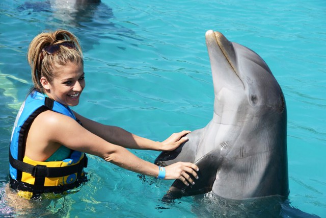 Dolphin Discovery Dolphin Discovery Cayman Islands