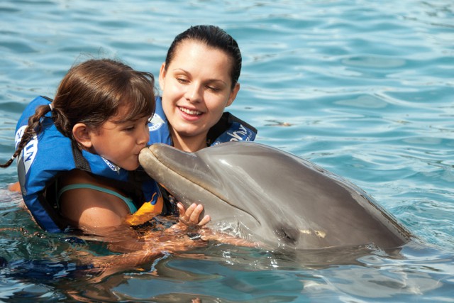 Dolphin Discovery Dolphin Discovery Cayman Islands