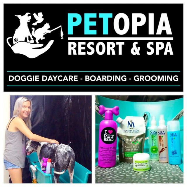 Petopia Resort & Spa Petopia Resort & Spa Cayman Islands