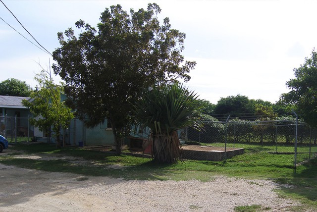 Cayman Pet Paradise (Cheval Ranche) Cayman Pet Paradise (Cheval Ranche) Cayman Islands