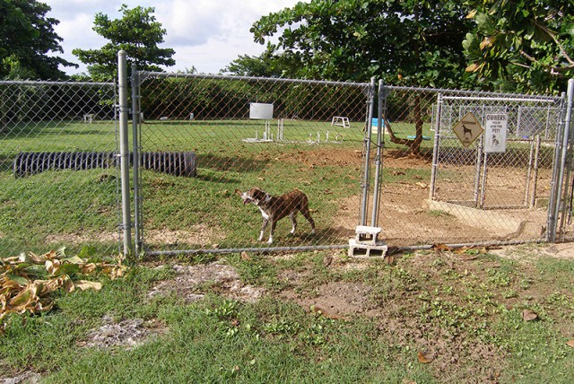 Cayman Pet Paradise (Cheval Ranche) Cayman Pet Paradise (Cheval Ranche) Cayman Islands