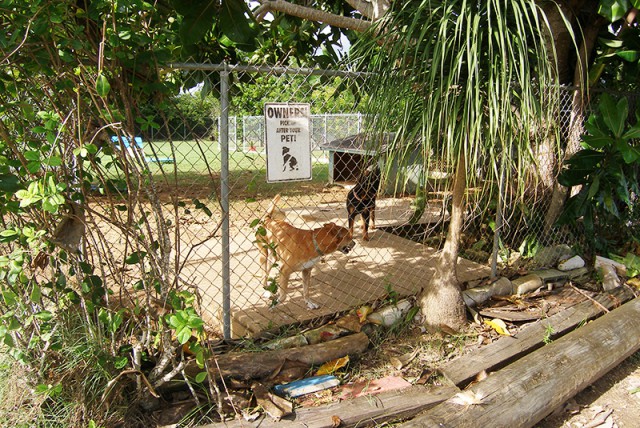Cayman Pet Paradise (Cheval Ranche) Cayman Pet Paradise (Cheval Ranche) Cayman Islands