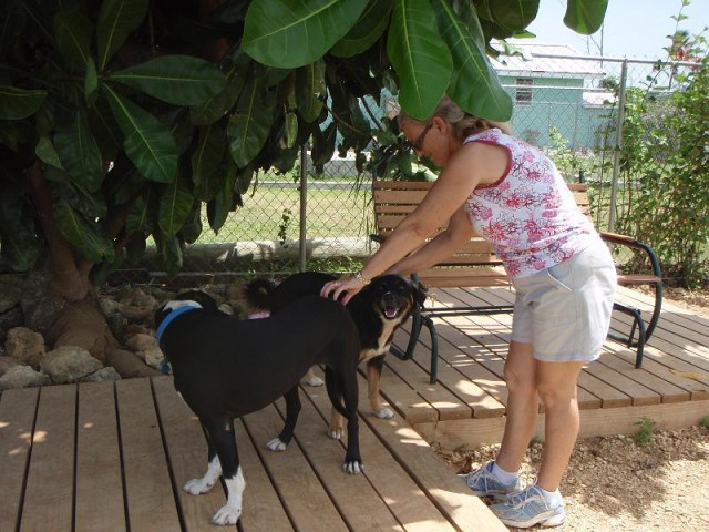 Cayman Pet Paradise (Cheval Ranche) Cayman Pet Paradise (Cheval Ranche) Cayman Islands