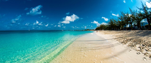 RE/MAX - Tamara Siemens RE/MAX - Tamara Siemens Cayman Islands