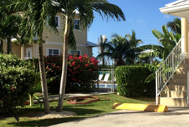 Pro Plus Real Estate Pro Plus Real Estate Cayman Islands