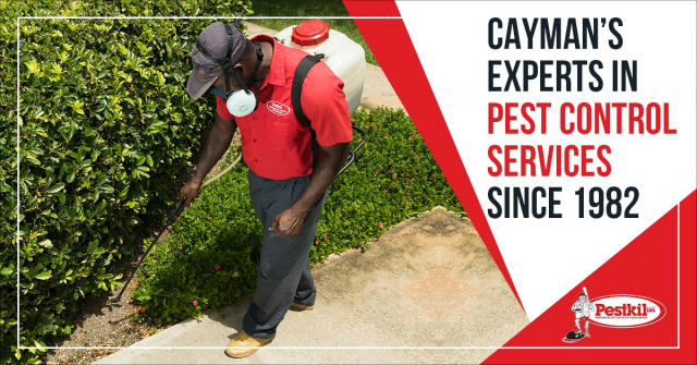 Pestkil Ltd Pestkil Ltd Cayman Islands