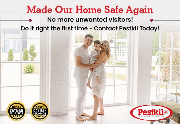 Pestkil Ltd Pestkil Ltd Cayman Islands
