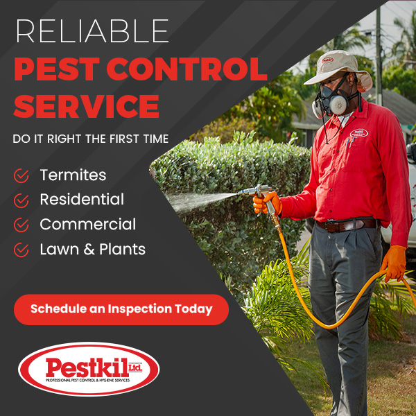 Pestkil Ltd Pestkil Ltd Cayman Islands