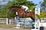 Equestrian Center Riding School & Boarding Stables Equestrian Center Riding School & Boarding Stables Cayman Islands