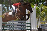 Equestrian Center Riding School & Boarding Stables Equestrian Center Riding School & Boarding Stables Cayman Islands