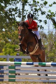 Equestrian Center Riding School & Boarding Stables Equestrian Center Riding School & Boarding Stables Cayman Islands