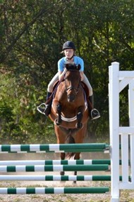 Equestrian Center Riding School & Boarding Stables Equestrian Center Riding School & Boarding Stables Cayman Islands