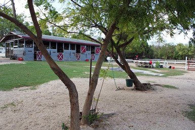 Equestrian Center Riding School & Boarding Stables Equestrian Center Riding School & Boarding Stables Cayman Islands