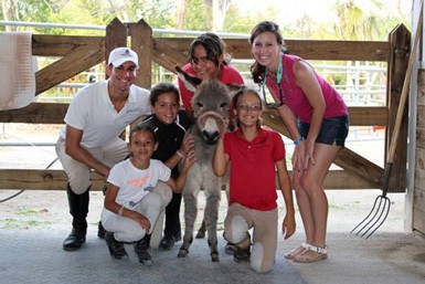 Equestrian Center Riding School & Boarding Stables Equestrian Center Riding School & Boarding Stables Cayman Islands