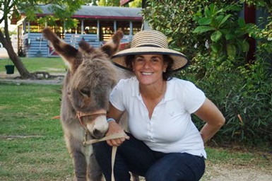 Equestrian Center Riding School & Boarding Stables Equestrian Center Riding School & Boarding Stables Cayman Islands