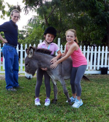 Equestrian Center Riding School & Boarding Stables Equestrian Center Riding School & Boarding Stables Cayman Islands