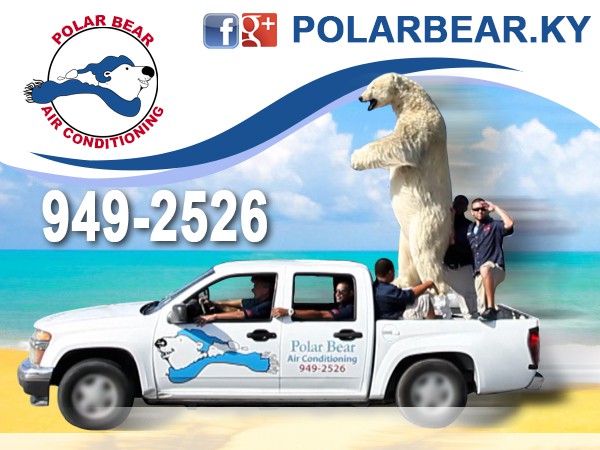 Polar Bear Air Conditioning Polar Bear Air Conditioning Cayman Islands