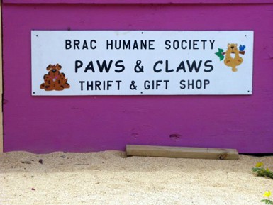 Cayman Islands Humane Society - Brac Branch Cayman Islands Humane Society - Brac Branch Cayman Islands