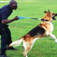 Royal Cayman Islands Police Service (RCIPS) Royal Cayman Islands Police Service (RCIPS) Cayman Islands