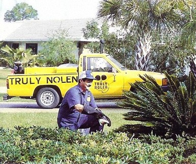 Truly Nolen Pest Control Truly Nolen Pest Control Cayman Islands