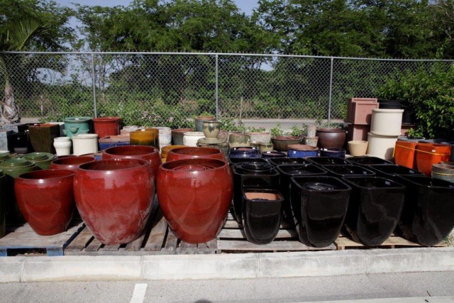 Vigoro Nursery Vigoro Nursery Cayman Islands