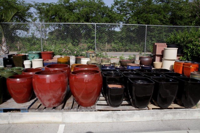 Vigoro Nursery Vigoro Nursery Cayman Islands