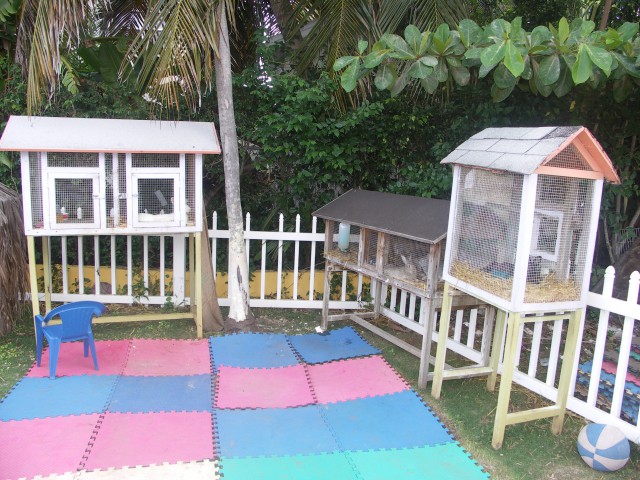 Tiny Tots Academy Tiny Tots Academy Cayman Islands