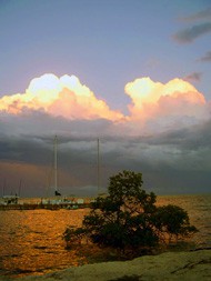 Morgans Harbour Seafood Restaurant Morgans Harbour Seafood Restaurant Cayman Islands