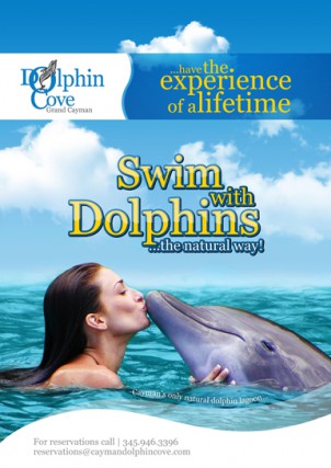 Dolphin Cove Ltd. Dolphin Cove Ltd. Cayman Islands