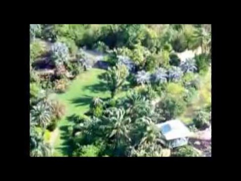 Cayman Growers Cayman Growers Cayman Islands