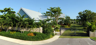 Cotton Tree Cotton Tree Cayman Islands