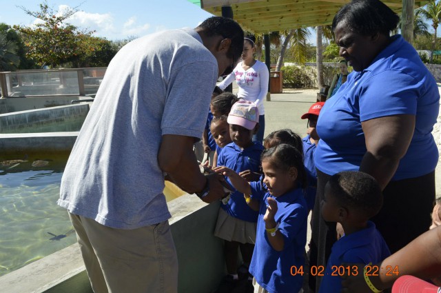 Shining Stars Childhood Care & Education Centre Shining Stars Childhood Care & Education Centre Cayman Islands