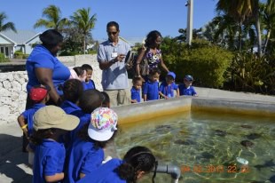 Shining Stars Childhood Care & Education Centre Shining Stars Childhood Care & Education Centre Cayman Islands