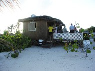 Grape Tree Cafe Grape Tree Cafe Cayman Islands