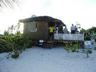 Grape Tree Cafe Grape Tree Cafe Cayman Islands