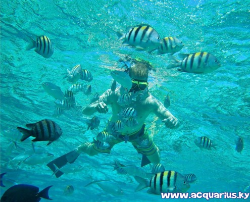 Acquarius Sea Tours Acquarius Sea Tours Cayman Islands