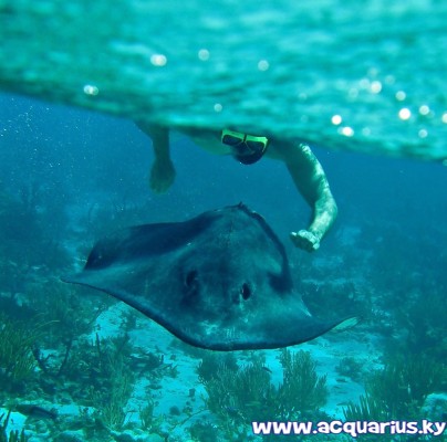 Acquarius Sea Tours Acquarius Sea Tours Cayman Islands