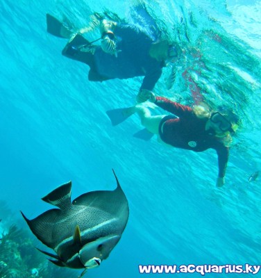 Acquarius Sea Tours Acquarius Sea Tours Cayman Islands