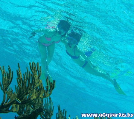 Acquarius Sea Tours Acquarius Sea Tours Cayman Islands