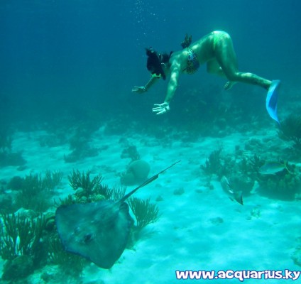 Acquarius Sea Tours Acquarius Sea Tours Cayman Islands